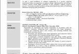 Sample Objectives In Resume for First Timer Resume Objective Examples for Any Job – Ferel