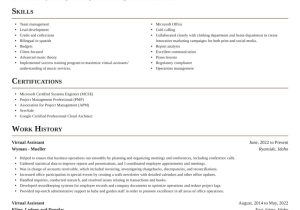 Sample Objectives In Resume for Virtual assistant Virtual assistant Resume Builder & Example Rocket Resume
