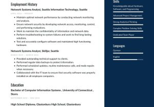 Sample Objextive Statements for Resume It Networking Network Systems Analyst Resume Example & Writing Guide Â· Resume.io