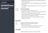 Sample Of A Business Administration Resume Business Administration Resumeâsample and 25lancarrezekiq Writing Tips
