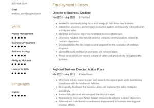 Sample Of A Business Administration Resume Business and Management Resume Examples & Writing Tips 2022 (free