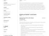 Sample Of A Cdl Truck Driver Resume Truck Driver Resume & Writing Guide  12 Resume Examples 2019