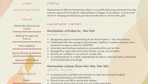 Sample Of A Field Merchandiser Resume Merchandiser Resume Examples & Writing Tips 2022 (free Guide)