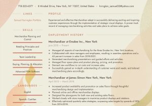 Sample Of A Field Merchandiser Resume Merchandiser Resume Examples & Writing Tips 2022 (free Guide)