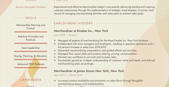 Sample Of A Field Merchandiser Resume Merchandiser Resume Examples & Writing Tips 2022 (free Guide)