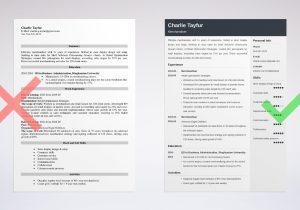 Sample Of A Field Merchandiser Resume Merchandiser Resume (job Description Sample & 20lancarrezekiq Tips)