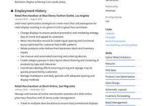 Sample Of A Field Merchandiser Resume Retail Merchandiser Resume & Writing Guide  17 Templates