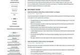 Sample Of A Field Merchandiser Resume Retail Merchandiser Resume & Writing Guide  17 Templates