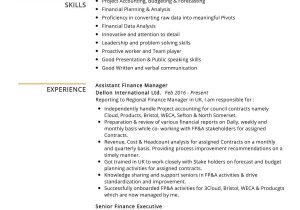 Sample Of A Finace Managers Resume assistant Finance Manager Resume Example 2022 Writing Tips …