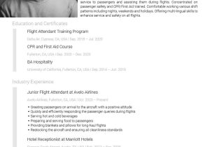 Sample Of A Flight attendant Resume the Best Flight attendant RÃ©sumÃ© Examples and Templates