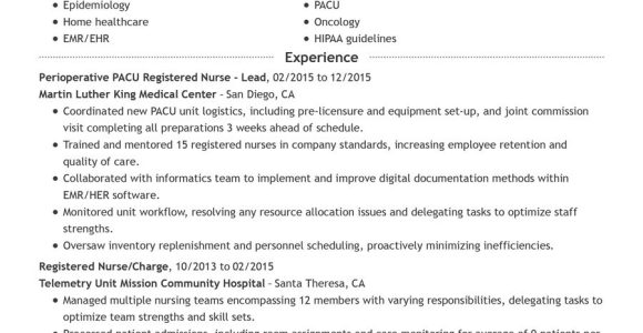Sample Of A Functional Resume for A Nurse Nursing Resume: Guide with Examples & Templates
