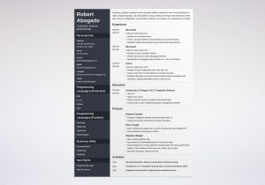 Sample Of A Good Computer Science Resume Computer Science (cs) Resume Example (template & Guide)