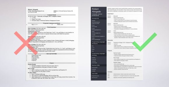 Sample Of A Good Computer Science Resume Computer Science (cs) Resume Example (template & Guide)