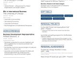 Sample Of A Good Professional Resume Best Resume Layout for 2022 [free Template]