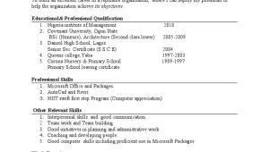 Sample Of A Good Resume In Nigeria Cv Sample In Nigeria Pdf Cognition Learning