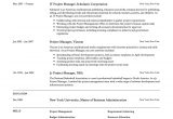 Sample Of A Good Resume Pdf Resume Cv