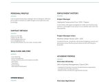 Sample Of A Good Simple Resume Blue Lines Simple Resume – Templates by Canva
