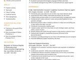 Sample Of A Great Customer Service Resume Customer Service Agent Cv Sample 2022 Writing Tips – Resumekraft