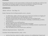 Sample Of A Great Customer Service Resume Customer Service Resume -how to Write the Perfect One (examples)