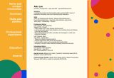 Sample Of A Hybrid Chronological Resume How to Write A Hybrid Resume (with Template and Example) Indeed.com