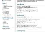 Sample Of A Professional Resume for Free 100 Professional Resume Samples for 2020