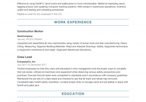 Sample Of A Professional Resume for Free Free Professional Resume Templates Indeed