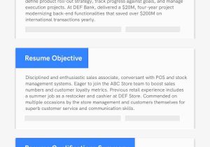 Sample Of Career Profile On Resume 19 Professional Resume Profile Examples & Section Template