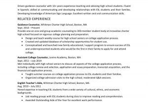 Sample Of Career Profile On Resume Resume Profile Examples for Many Job Openings