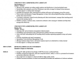 Sample Of Executive Administrative assistant Resume Professional Executive Administrative assistant Resume