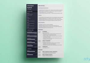 Sample Of Functional and Chronological Resume Combined Combination Resume (template & 5lancarrezekiq Combo Examples)