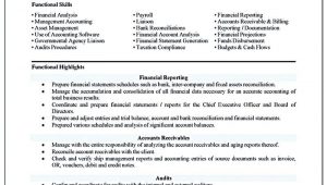 Sample Of Functional Resume for Accountant Accounting Resume Ought to Be Perfect In Any Way. if You Want to …