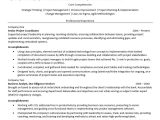 Sample Of Functional Resume for Program Coordinator Project Coordinator Resume Monster.com