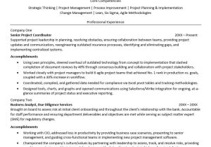 Sample Of Functional Resume for Program Coordinator Project Coordinator Resume Monster.com