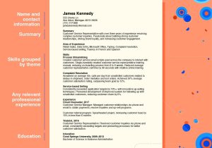 Sample Of Functional Summary for Resume Functional Resume: Definition, Tips and Examples Indeed.com