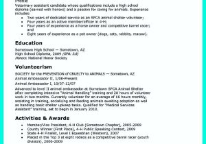 Sample Of Golf Resume for Job Application Nice Making Simple College Golf Resume with Basic but Effective …