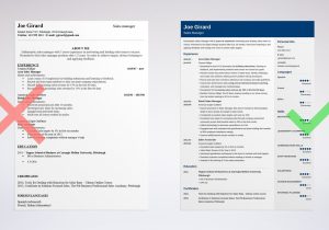 Sample Of Good Director Of Sales Resume Sales Manager Resume Examples [templates & Key Skills]