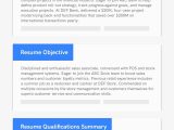 Sample Of Good Profile On Resume 18lancarrezekiq Professional Resume Profile Examples for Any Job