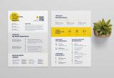 Sample Of Graphic Design Resume 2023 15 Of the Best Graphic Designer Resumes (creative Templates …