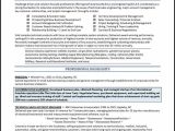 Sample Of Great Resume for Tech Industry Technology Sales Resume Example – Distinctive Career Services