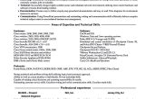 Sample Of Ibm Resume for Vmware Emphasize Your Skills In Your Network Engineer Resume Sample …