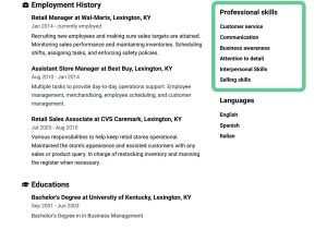Sample Of Important Skills for Resume Key Skills for A Resume [best List Of Examples & How to] – Jofibo