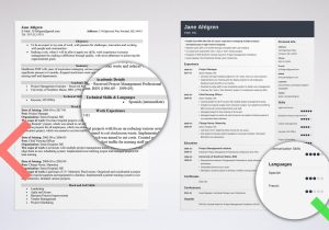 Sample Of Indicating Bilingual On Resume Resume Language Skills: Proficiency Levels & How to List