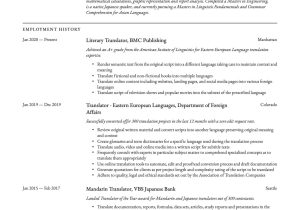Sample Of Indicating Bilingual On Resume Translator Resume & Writing Guide  12 Templates 2020