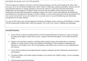 Sample Of Job Description Corporate Responsibility Resume Job Summary – 10lancarrezekiq Examples, format, Pdf Examples