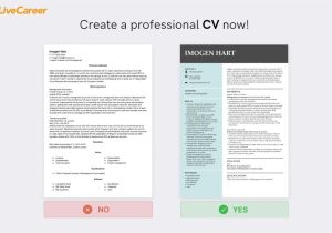 Sample Of Junior Private Equity Accountant Resume Accountant Cv Example & Guide (lancarrezekiqaccounting Cv Template)