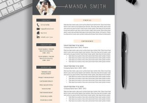 Sample Of Latest Resume format 2023 2022-2023 Pre-formatted Resume Template with Resume Icons, Fonts …