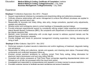 Sample Of Medical Billing and Collections Resume Medical Billing Resume
