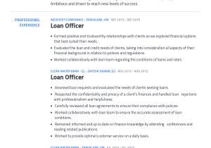 Sample Of Mortgage Loan Officer Resume Loan Officer Resume Example with Content Sample Craftmycv