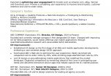 Sample Of Resume for Experienced Person Sample Resume for An Experienced Ux Designer Monster.com