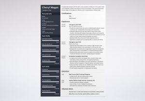 Sample Of Resume for Residential Care Worker Caregiver Resume Examples (skills, Duties & Objectives)